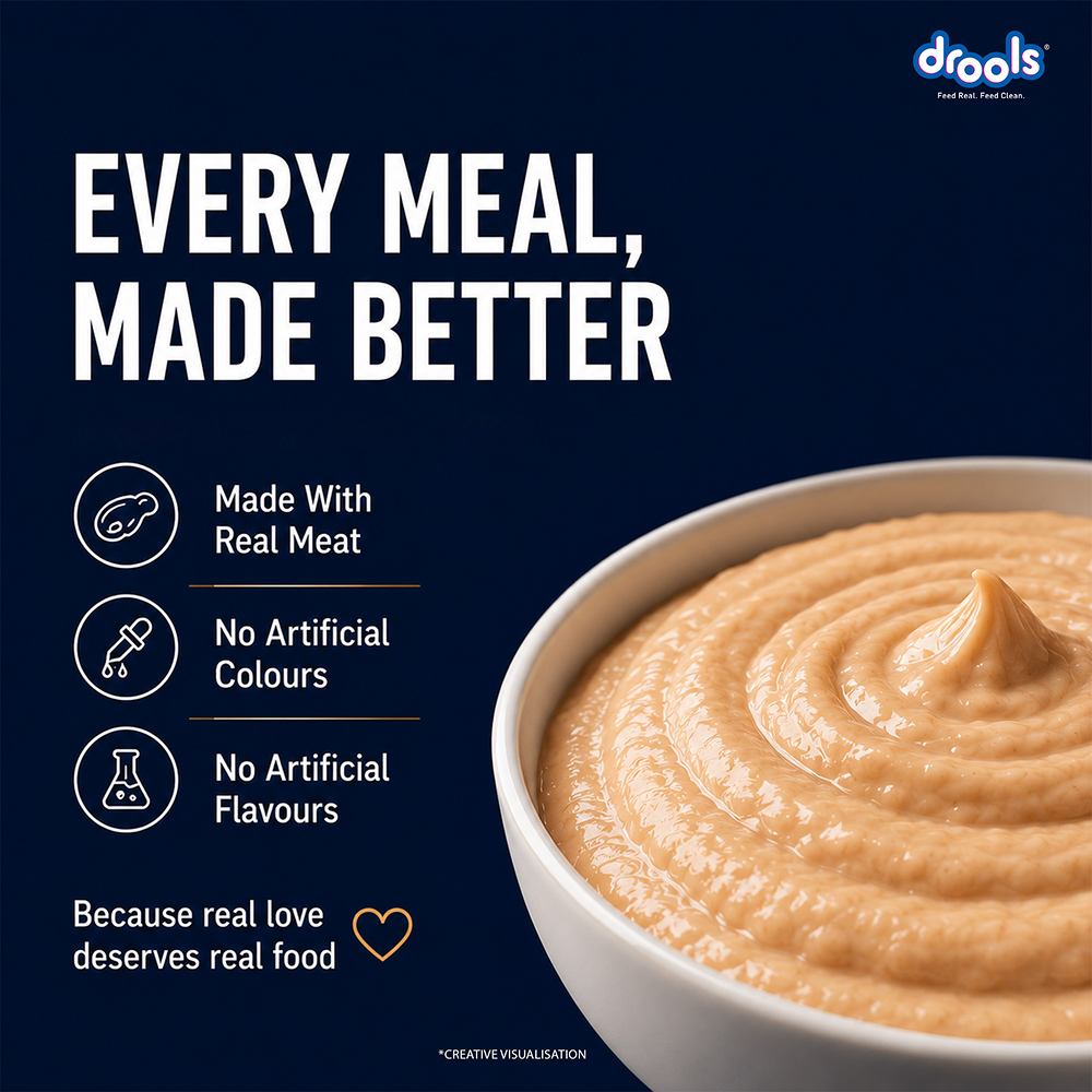 Drools Ocean Fish Mousse Kitten Cat Wet Food image 10
