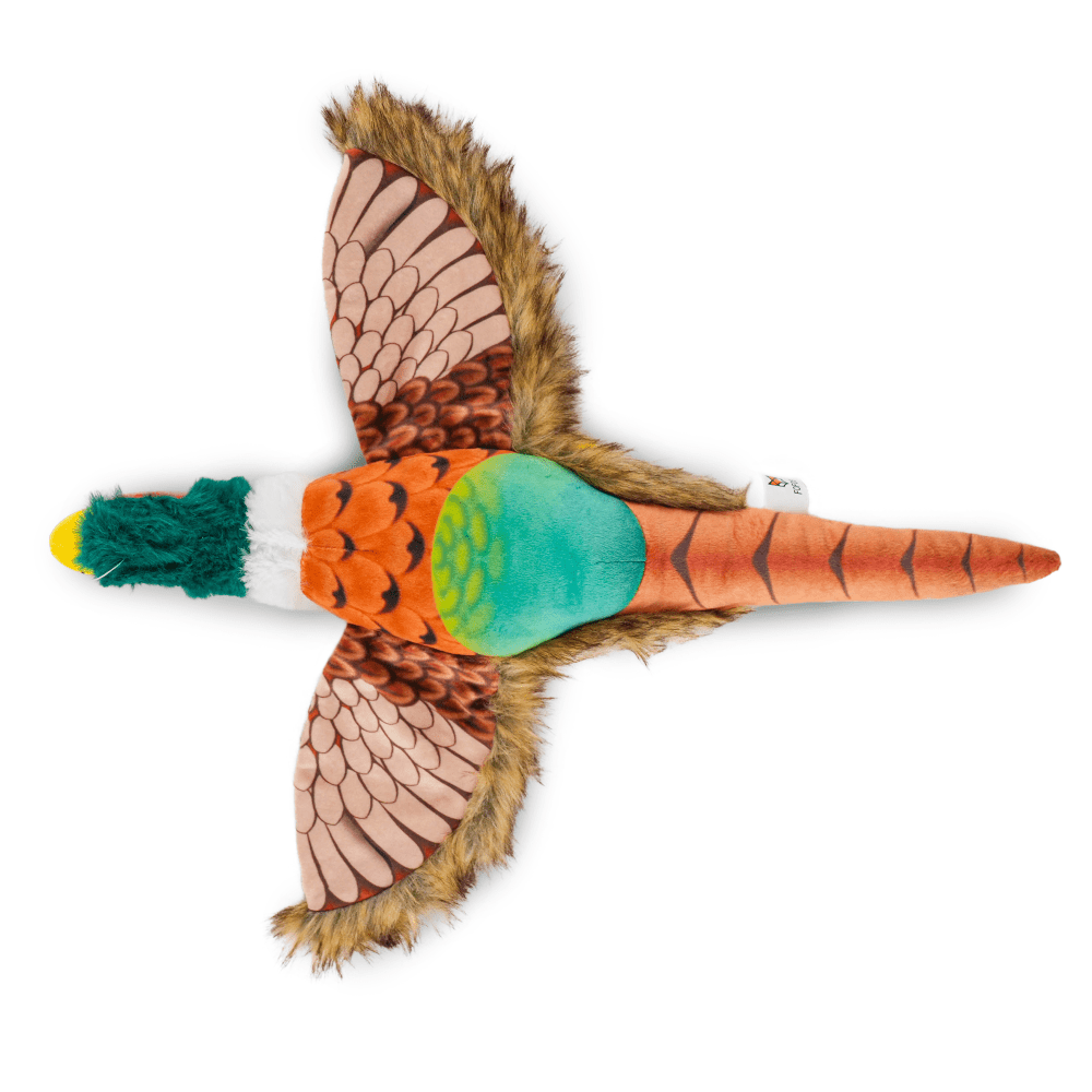Barkbutler x Fofos Plush Pheasant Toy for Dogs | For Soft Chewers image 4