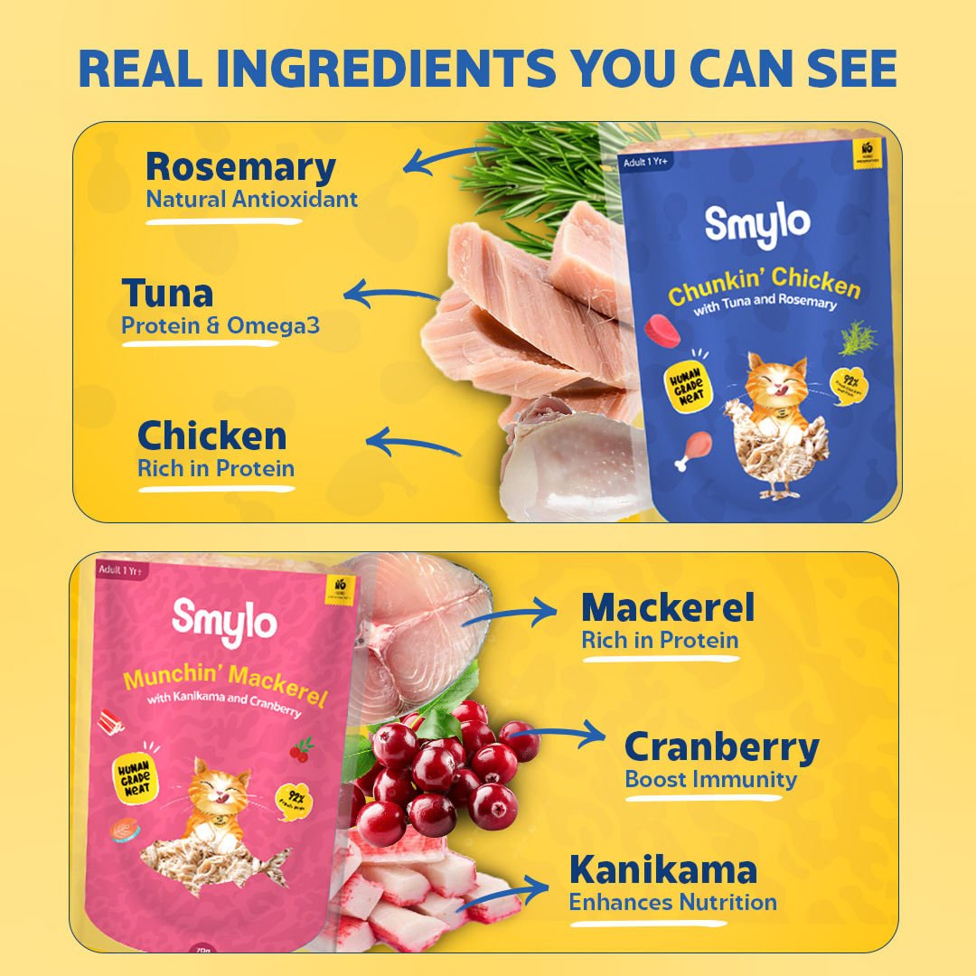 Smylo Adult Trial Box, Tuna, Chicken & Mackerel, Fresh & No-Preservative Wet Cat Food image 7