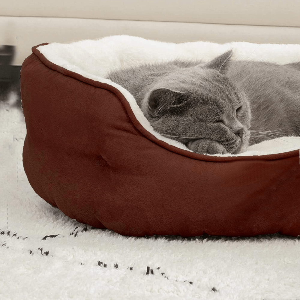 Fluffy's Pawsome Round Washable Bed for Dogs and Cats (Brown) image 6
