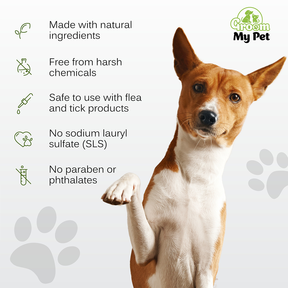 Groom My Pet Anti Itch & Dandruff Conditioning Shampoo for Dogs image 4