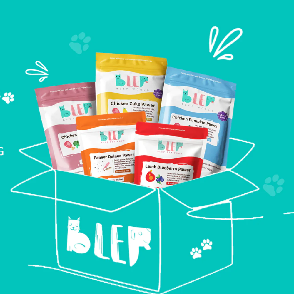 BLEP Pawer 5 Flavour Variety Pack Dog Wet Food image 2