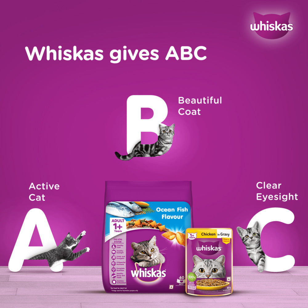 Whiskas Tuna in Jelly Meal and Chicken Gravy Adult Cat Wet Food Combo image 9