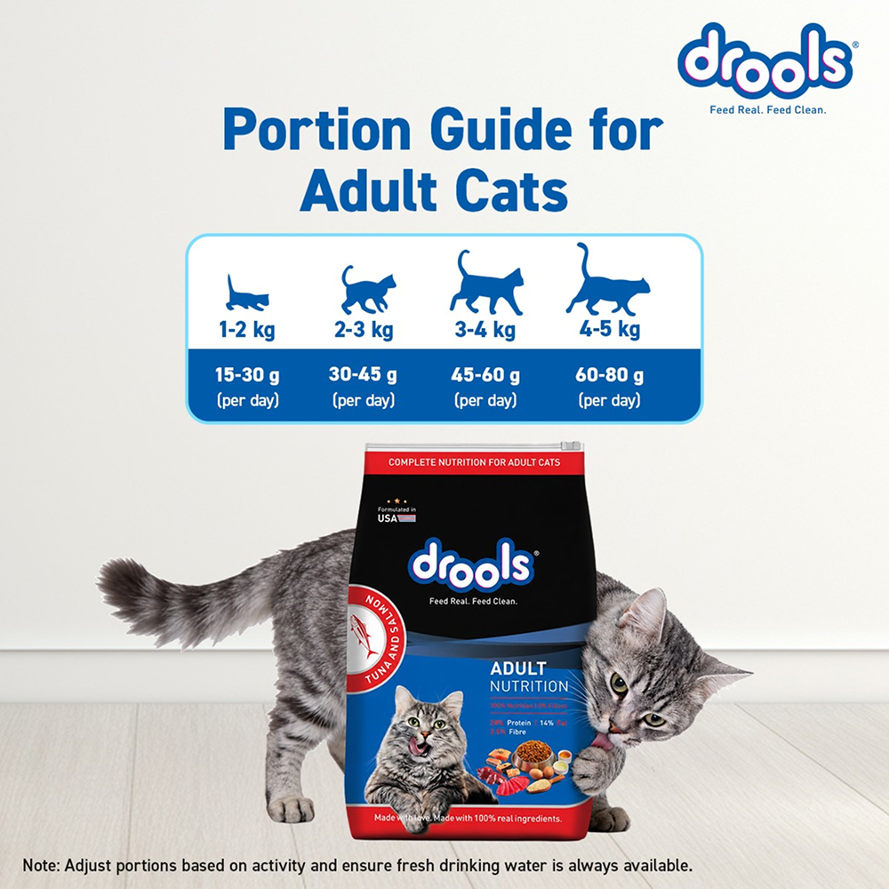 Drools Tuna & Salmon Adult Dry Cat Food image 6