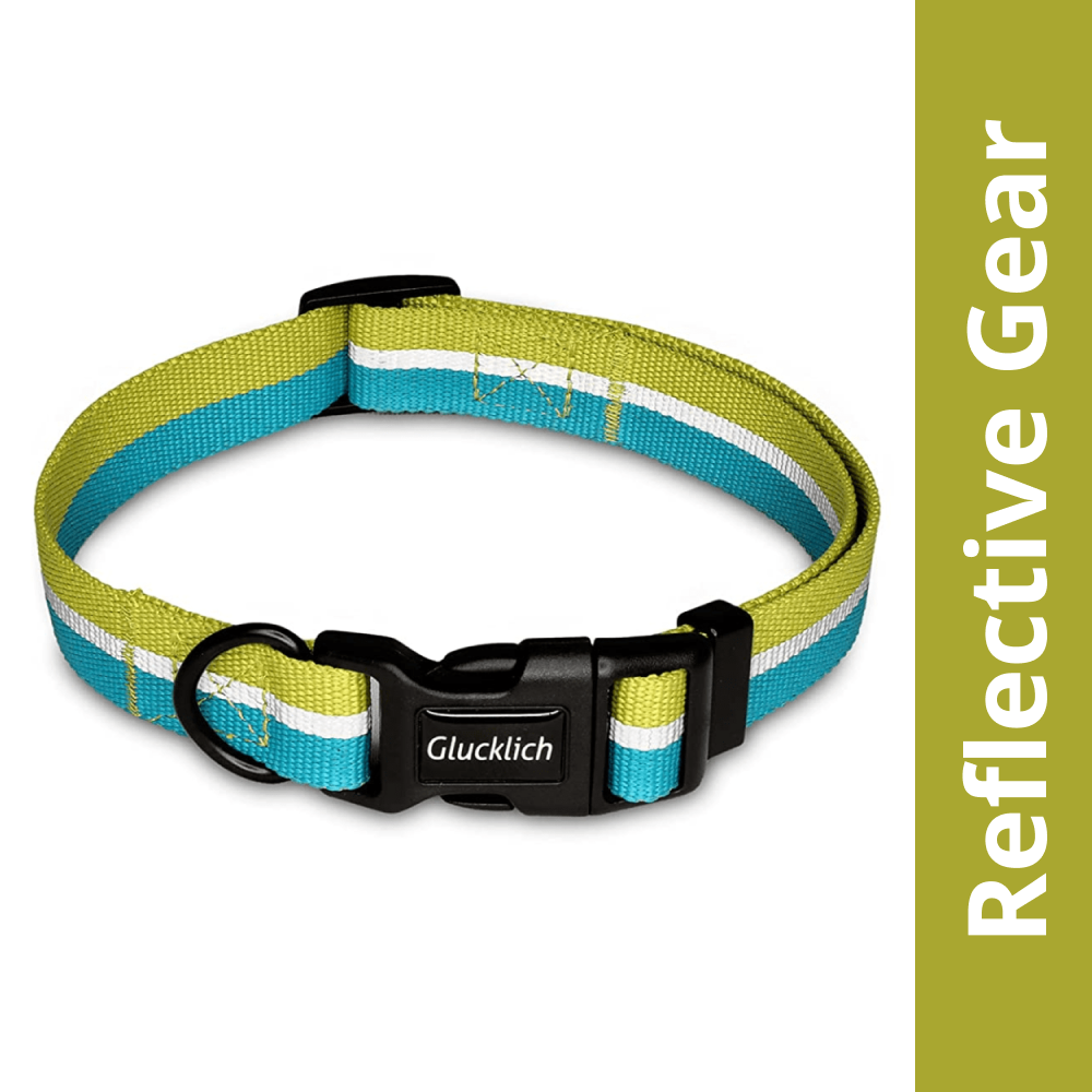 Glucklich Everyday Reflective Collar for Dogs (Mint Green)