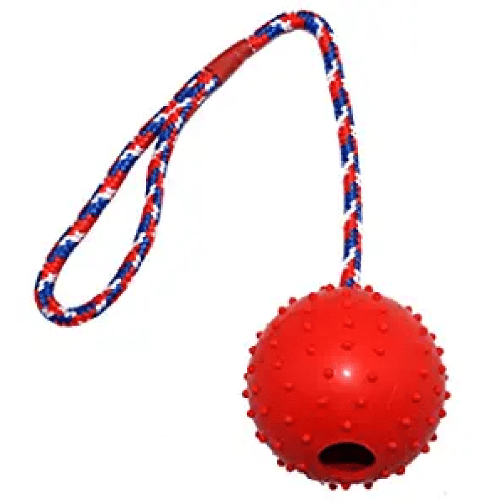 Emily Pets Rubber Ball with Rope Chew Toy for Dogs (Orange) image 2