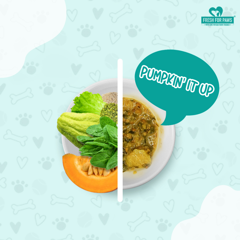 Fresh For Paws Pumpkin It Up Dog Wet Food (100g) image 2