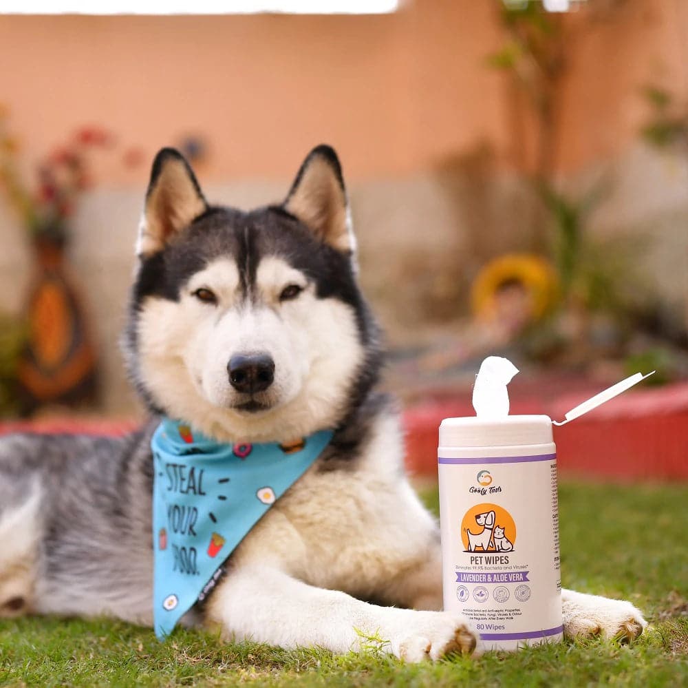 Goofy Tails Wipes for Dogs and Cats image 7