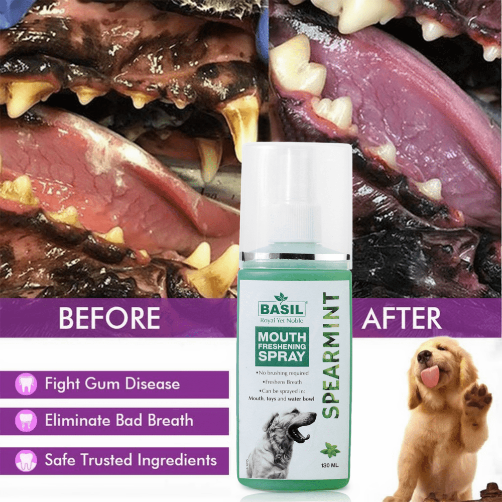 Basil Spearmint Mouth Spray for Dogs image 5