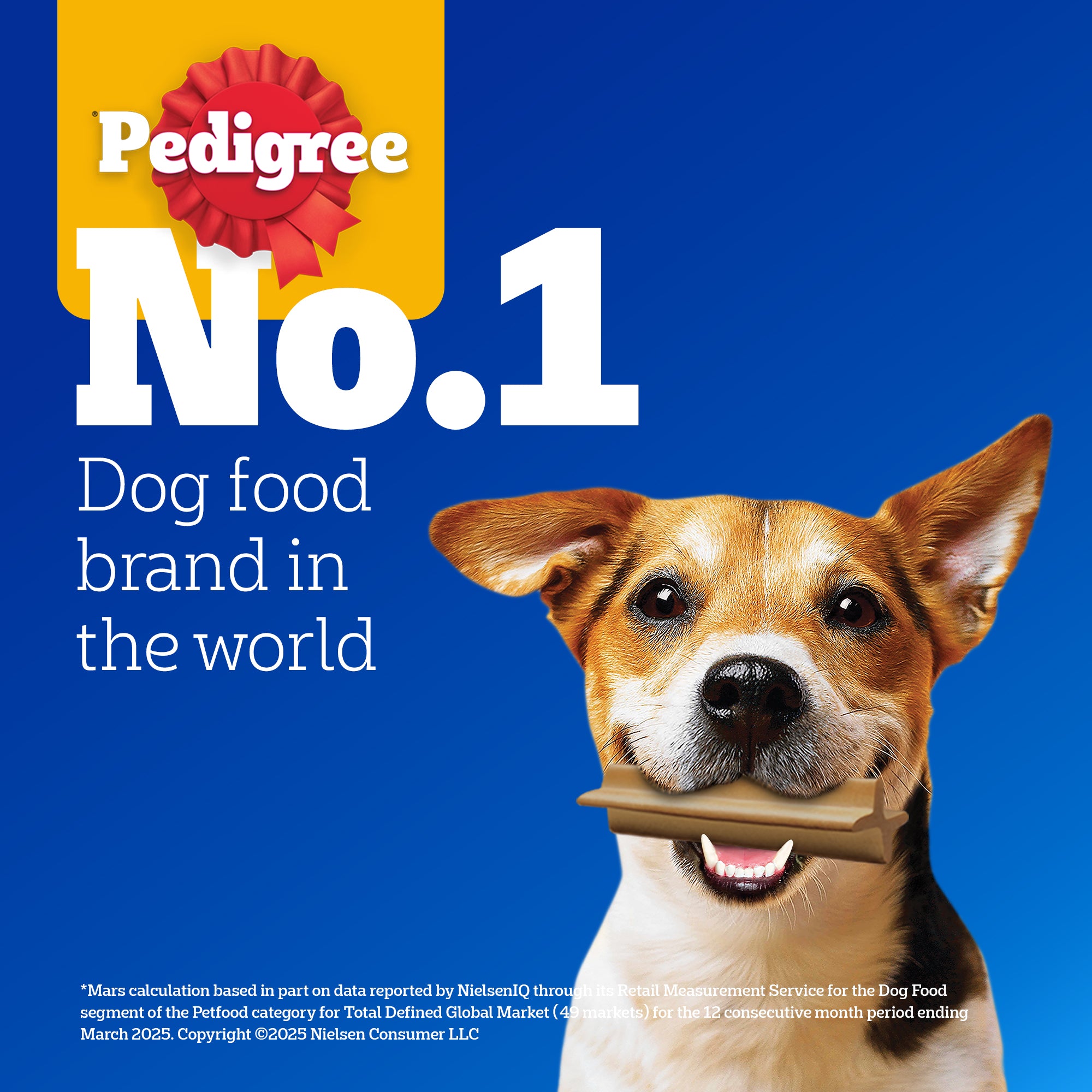 Pedigree Dentastix Oral Care for Adult (Small Breed of 5 to 10 kg) Dog Treats image 6
