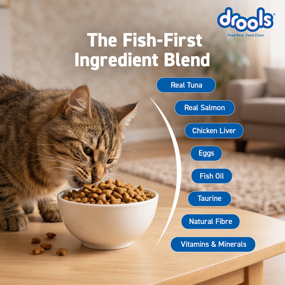 Drools Tuna & Salmon Adult Dry Cat Food image 7