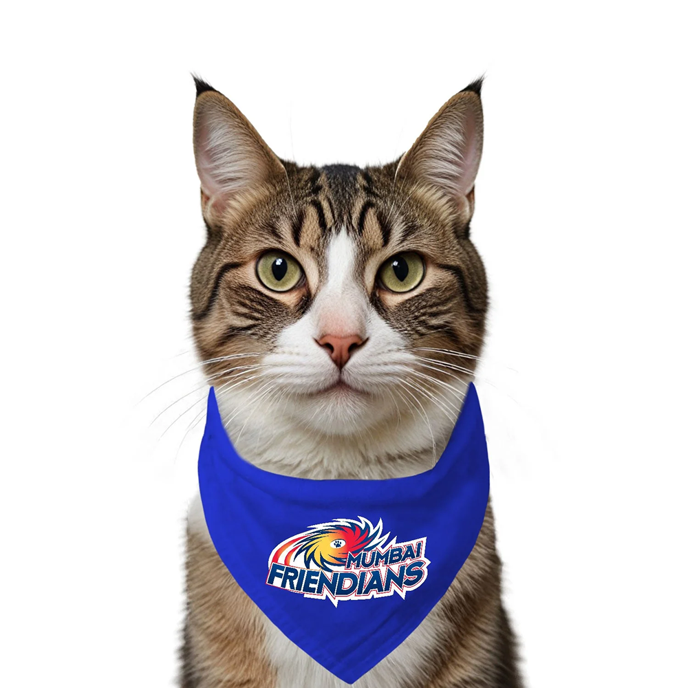 Ruse IPL Mumbai Friendians Printed Bandana for Cats (Royal Blue) | Indian Pet League