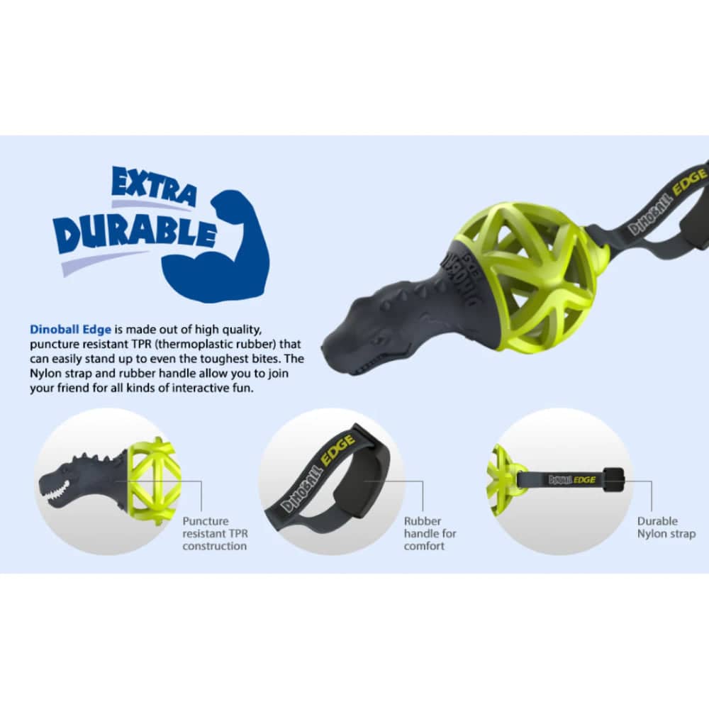 Gigwi Dinoball Edge with Strap Chew Toy for Dogs (Green) image 6