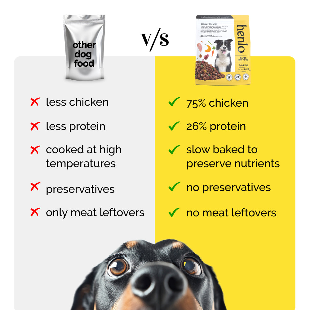 Henlo Chicken & Vegetable Baked Dry Food for Adult Dogs | 100% human grade ingredients image 6