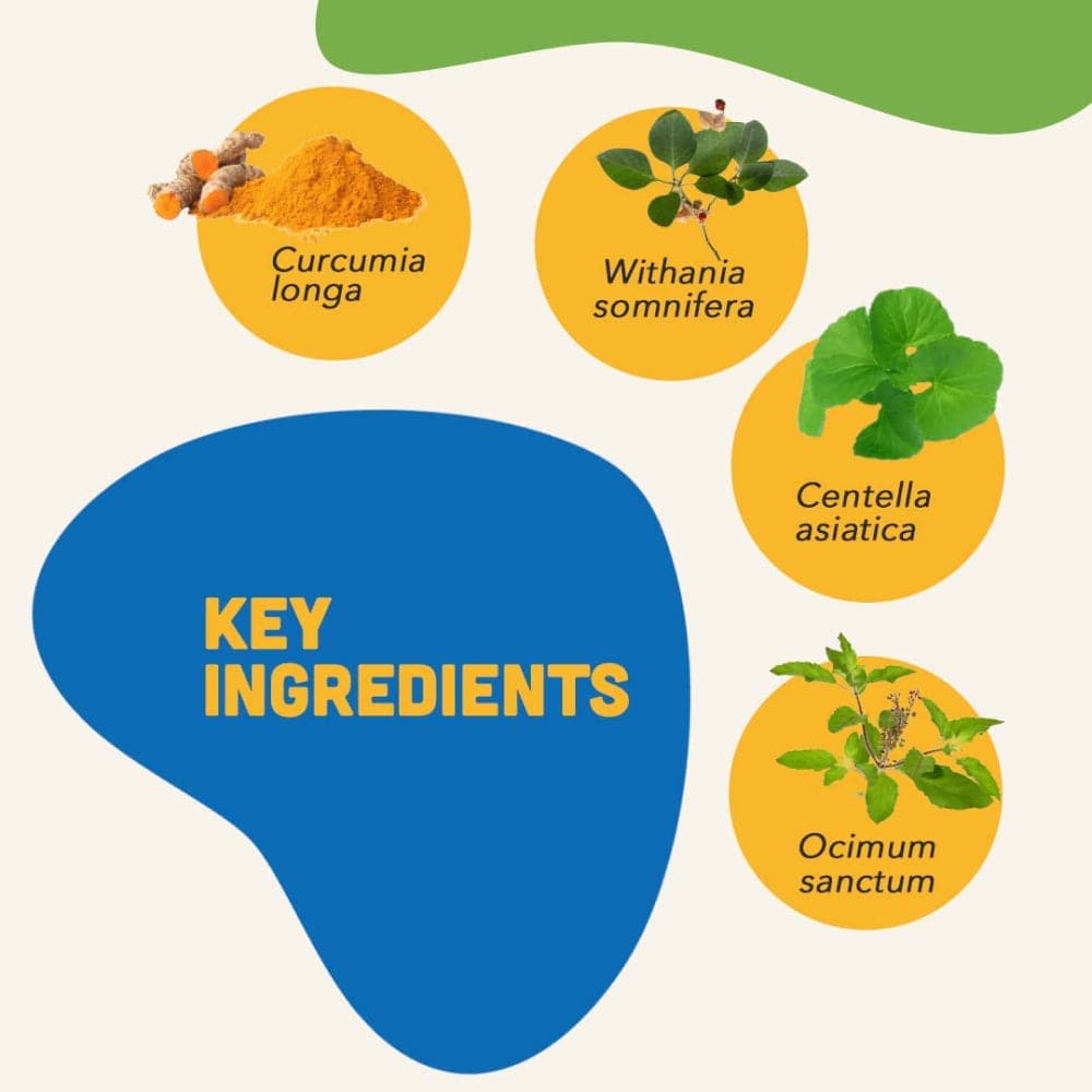 Natural Remedies Smart Bites Chew Treats for Dogs image 4