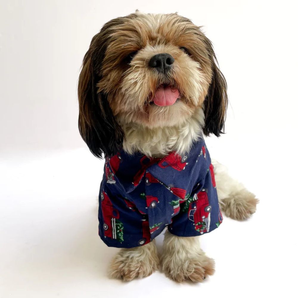 Pawgypets Warm Winter Cars Shirt for Dogs and Cats (Blue) image 2