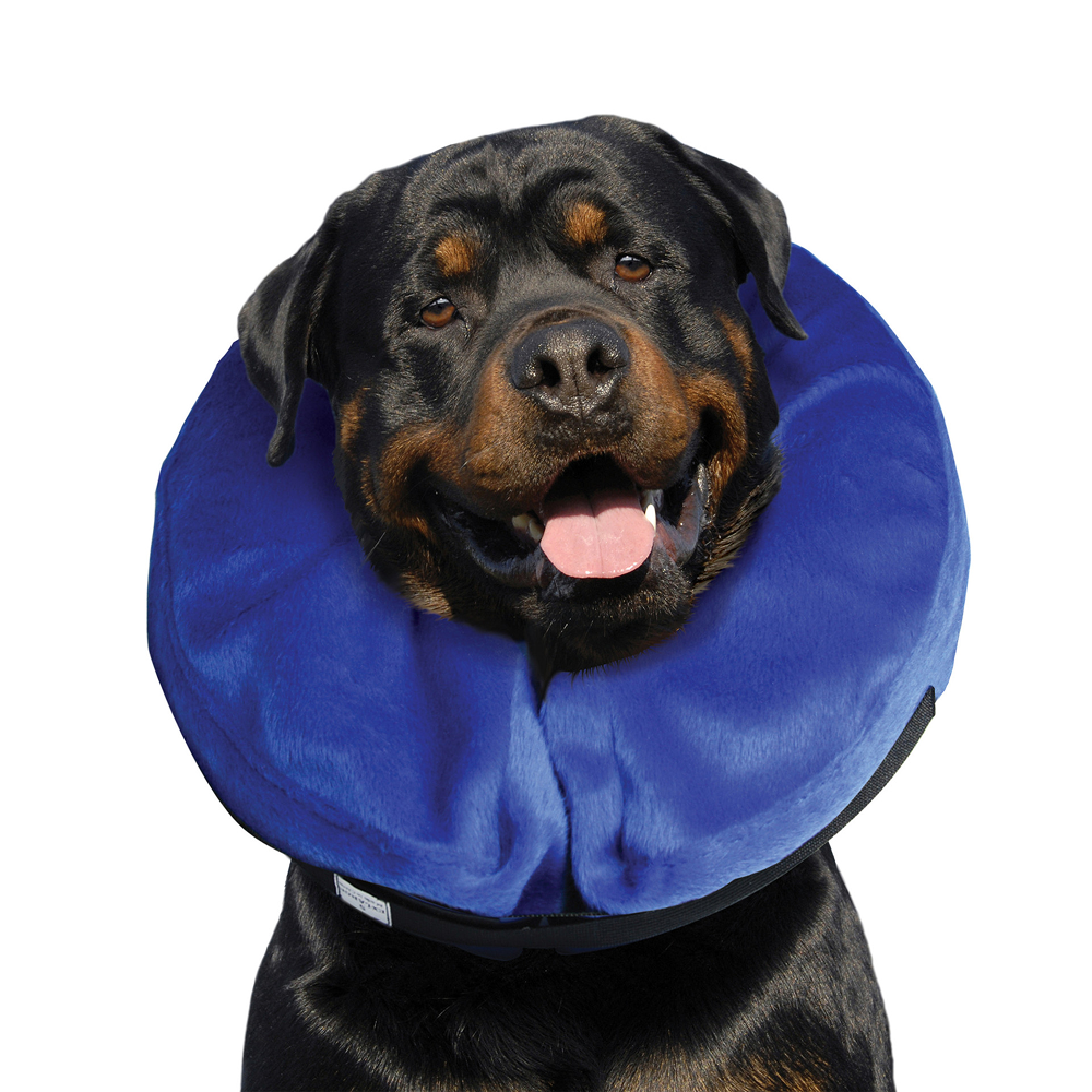 Kong E Collar Cloud Collar for Dogs (Blue) image 4