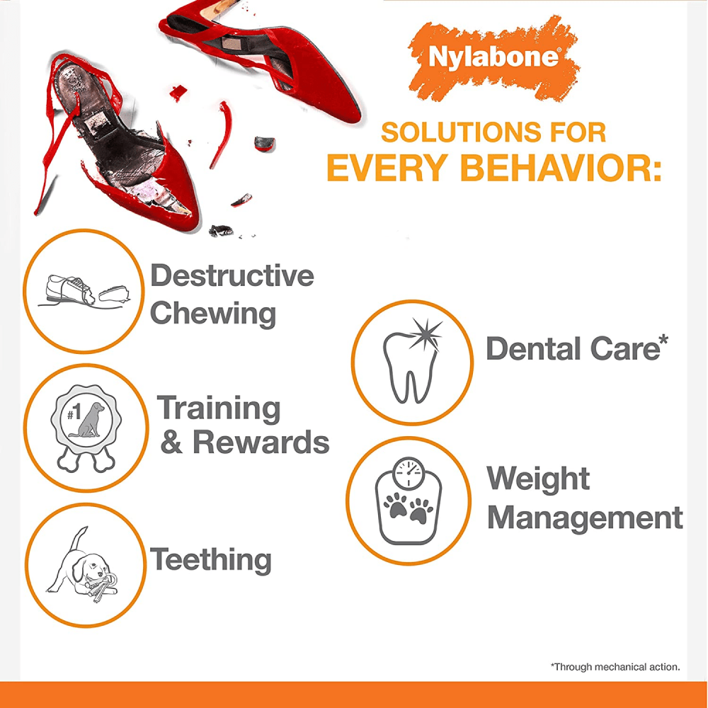 Nylabone Puppy Power Chew Toy for Dogs (Orange) image 5
