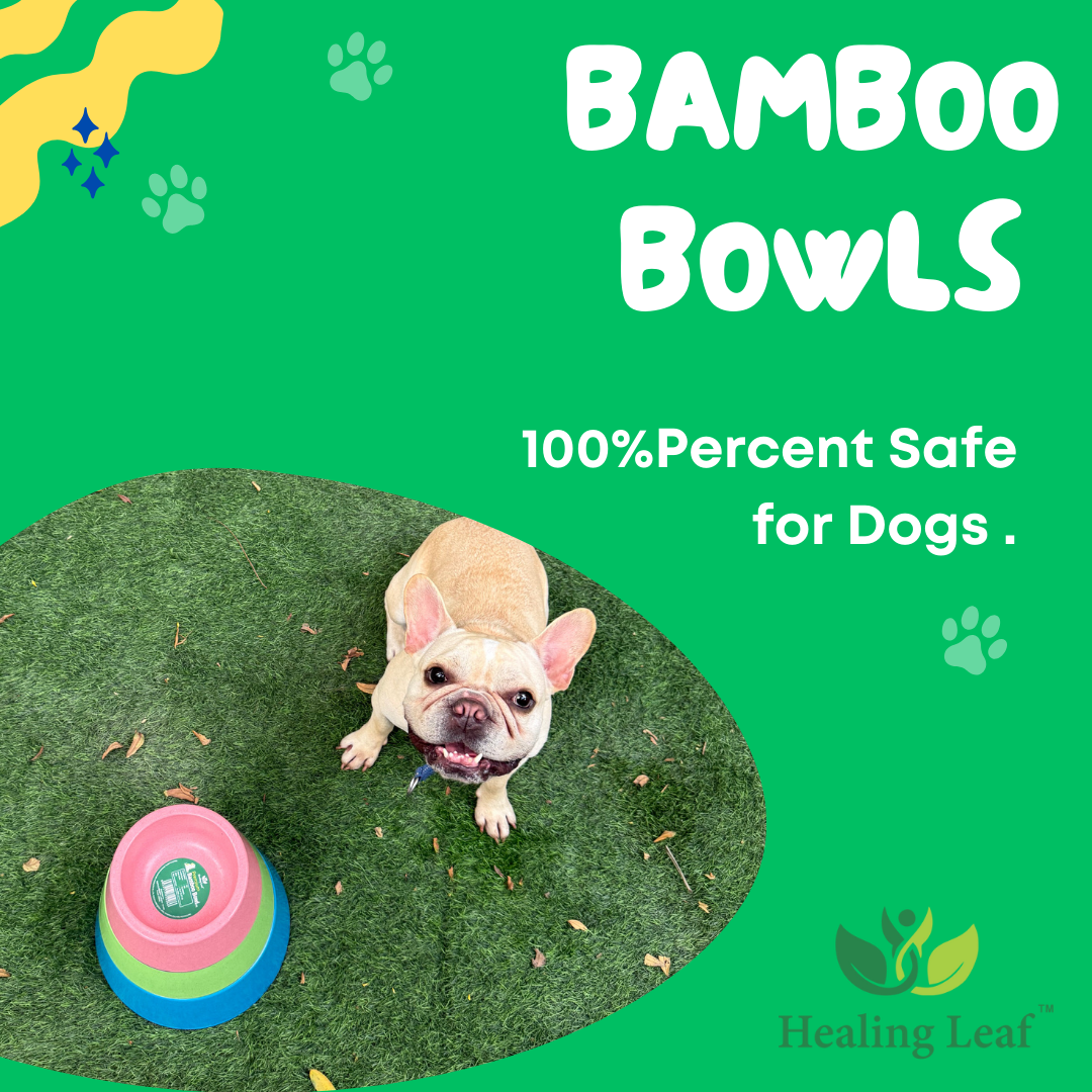 Healing Leaf Eco friendly Bamboo Bowl for Dogs and Cats (Sky Blue) image 4