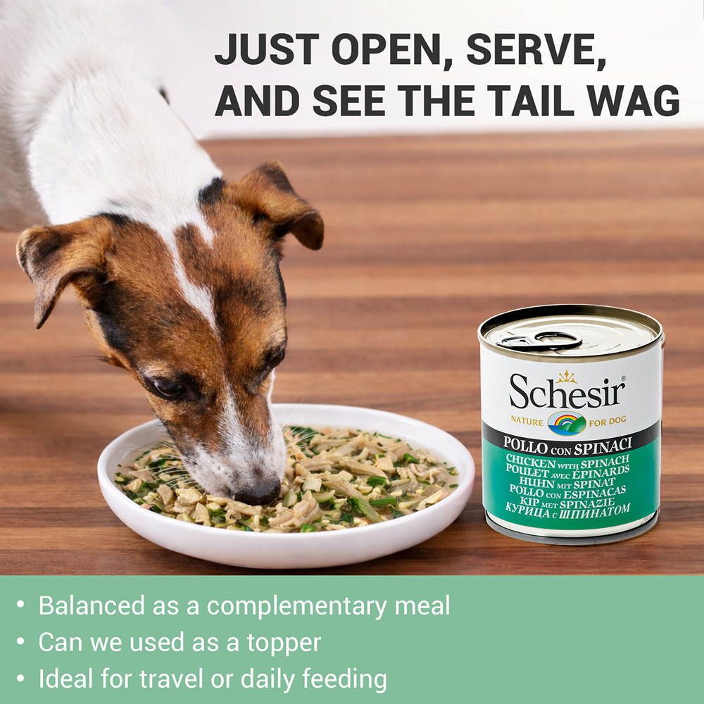 Schesir Chicken & Rice with Spinach in Jelly Dog Wet Food image 4