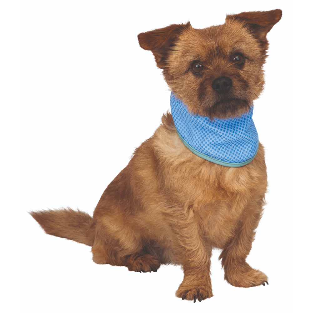 Trixie Cooling Bandana for Dogs (Blue) image 5
