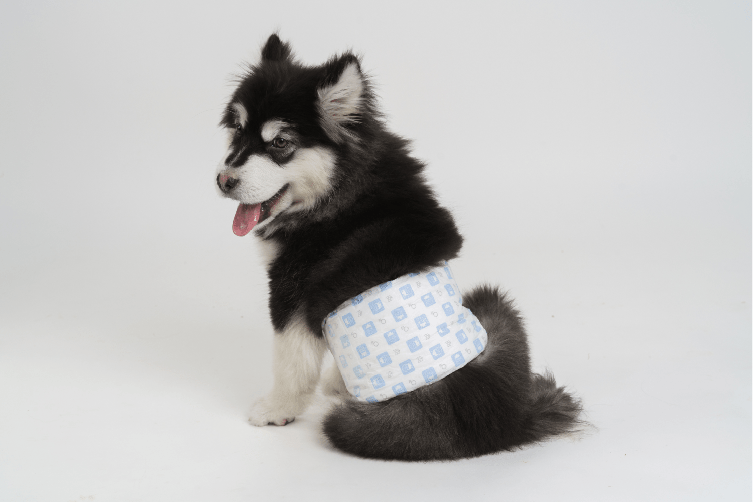 Barkbutler x Fofos Diaper for Male Dog (20x25cm) image 8