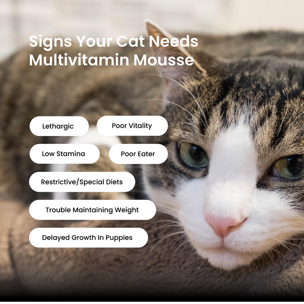 Absolut Pet Multivitamin Mousse Cat Supplements image 4