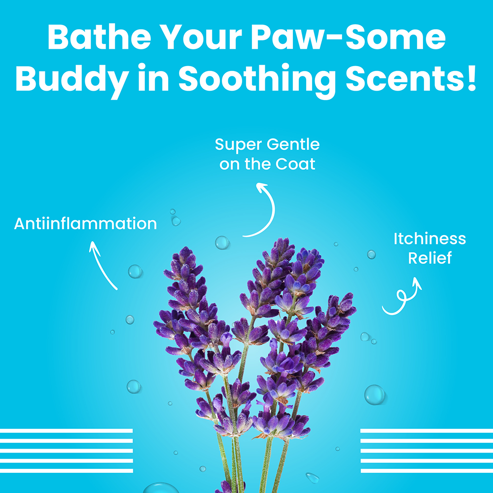 Bark Out Loud Silky Smooth Shampoo & Conditioner for Dogs image 4