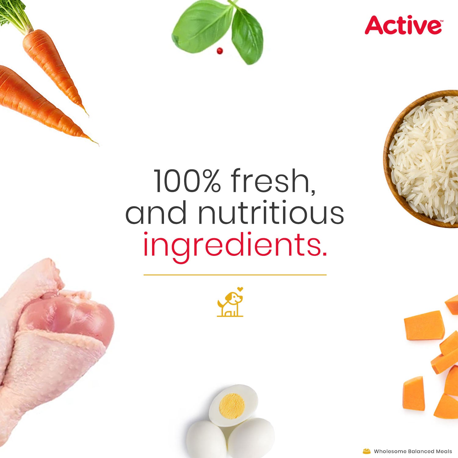 Active Chicken Biryani Fresh Food for Dogs (Buy 1 Get 1) image 4