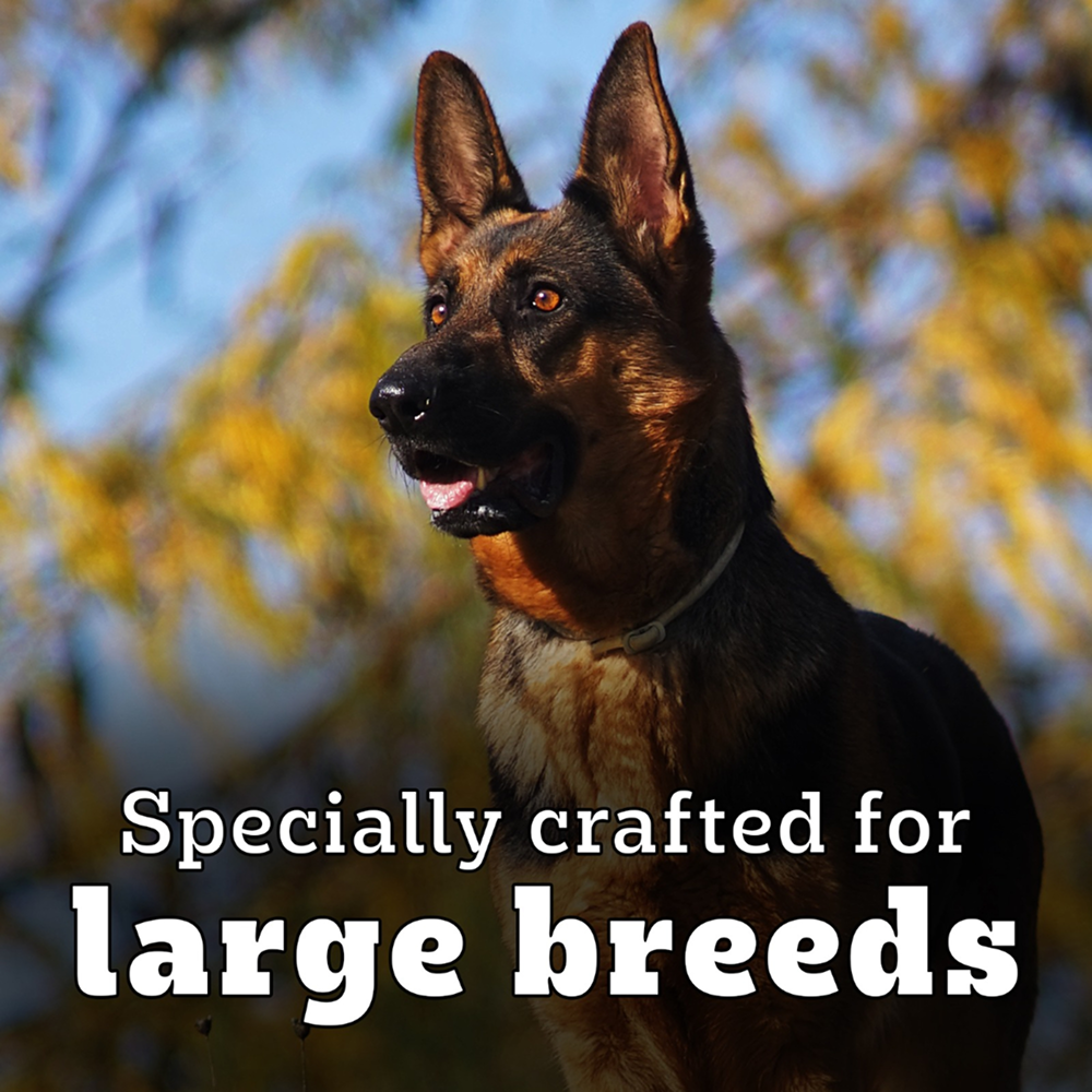 Pedigree PRO Expert Nutrition Active Adult (18 Months Onwards) Large Breed Dog Dry Food image 8