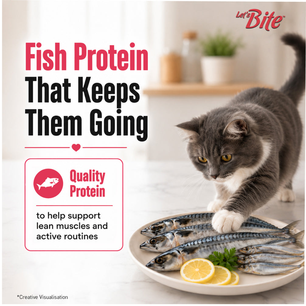 Let's Bite Active Adult Ocean Fish Dry Cat Food image 3