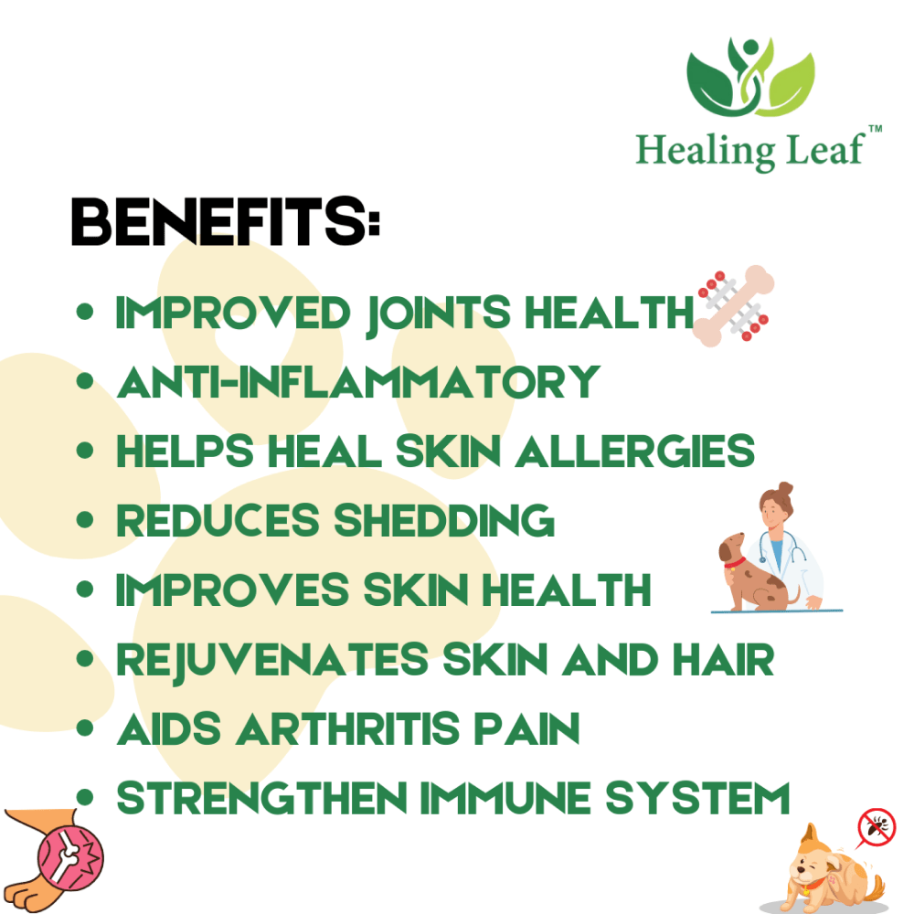 Healing Leaf Hemp Oil for Dogs and Cats image 8