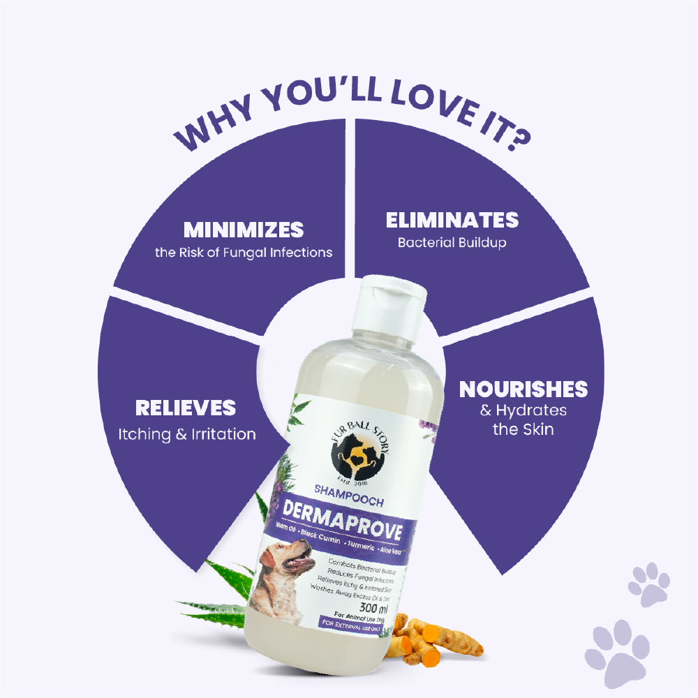 FurBall Story Shampooch Dermaprove Shampoo for Dogs image 5