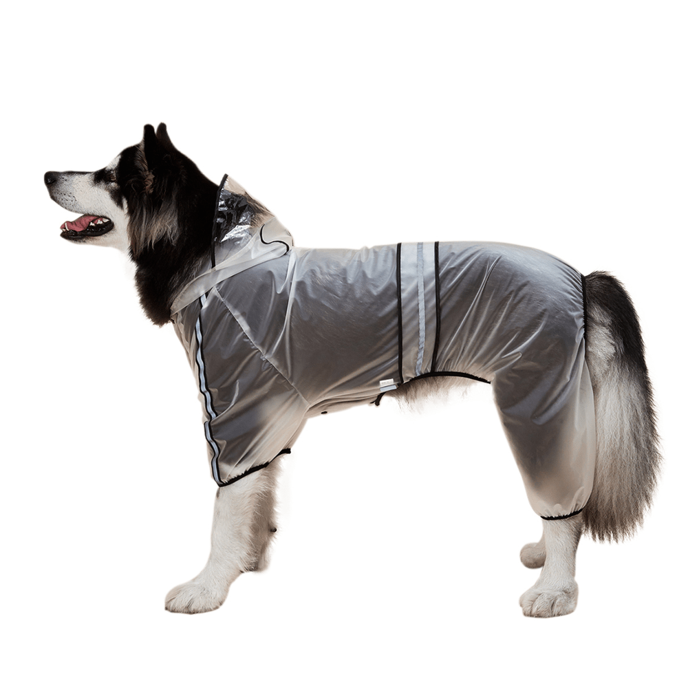 Barkbutler x Fofos Four Leg Black Raincoat for Dogs (Button Up Style) image 3