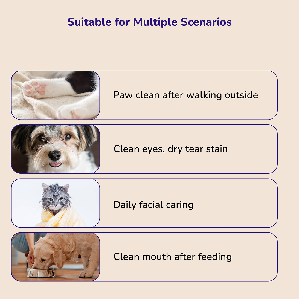 Petverse 2 in 1 Hair Drying & Hair Brush for Dogs & Cats image 3