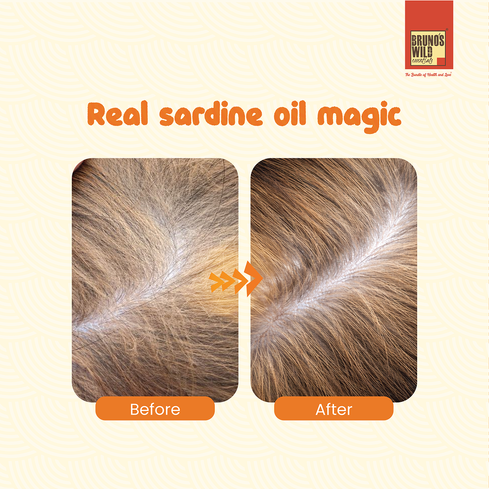 Bruno's Wild Essentials Sardine Oil for Dogs and Cats image 4