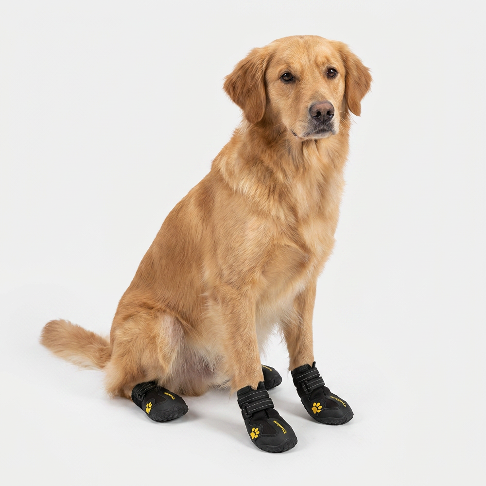 Truelove Waterproof Pet Boots for Dogs (Black, Set of 4) image 2