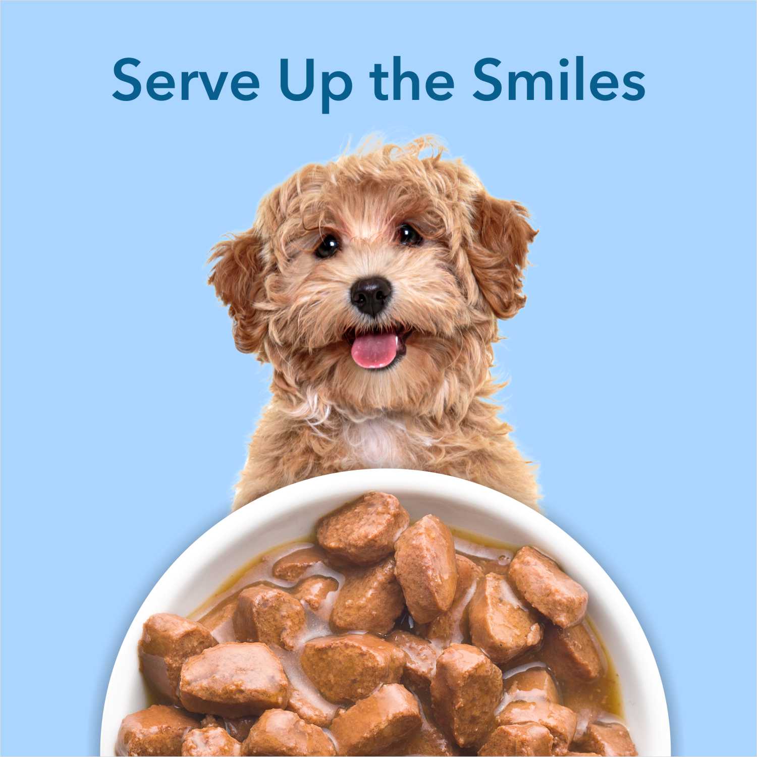Purepet Chicken & Vegetable Chunks in Gravy Adult Dog Wet Food image 6