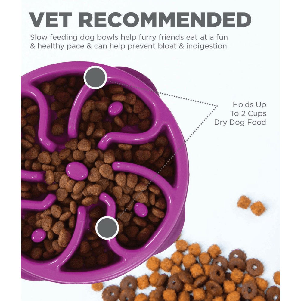 Outward Hound Fun/Slow Feeder for Dogs (Purple) image 4
