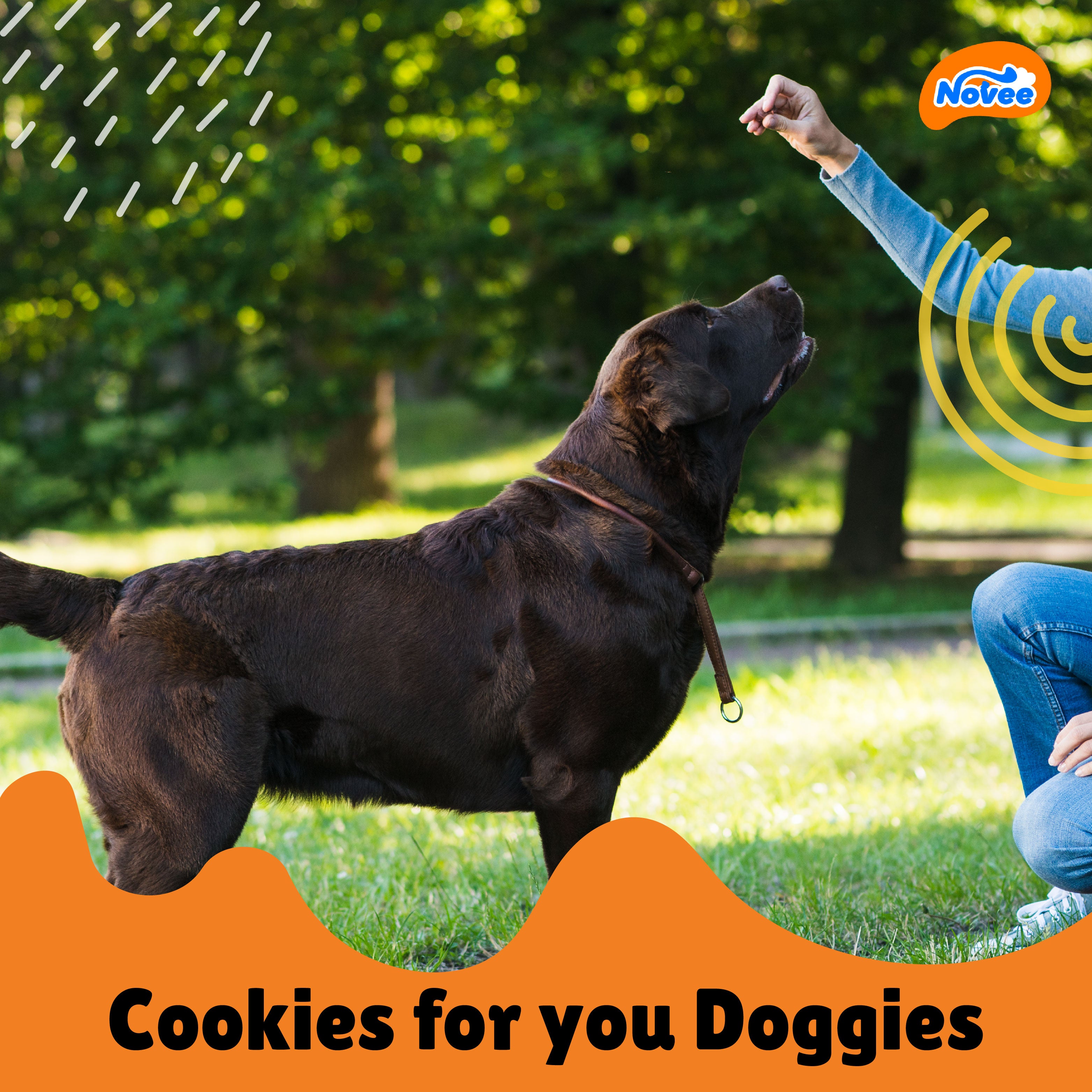 Novee Joint and Bone Support Cookie Dog Treats image 4