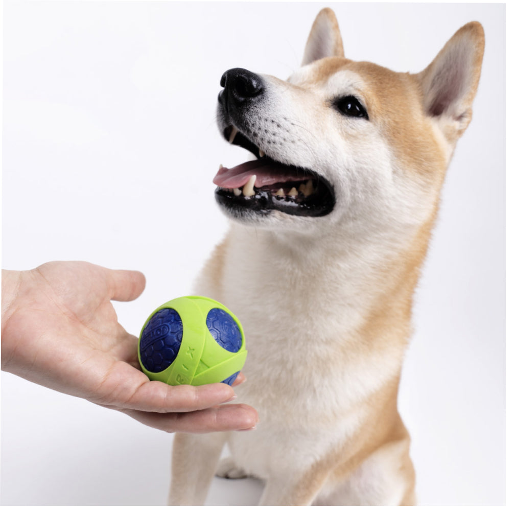 Joyser Netrix Ball for Dogs (Green/White) image 4