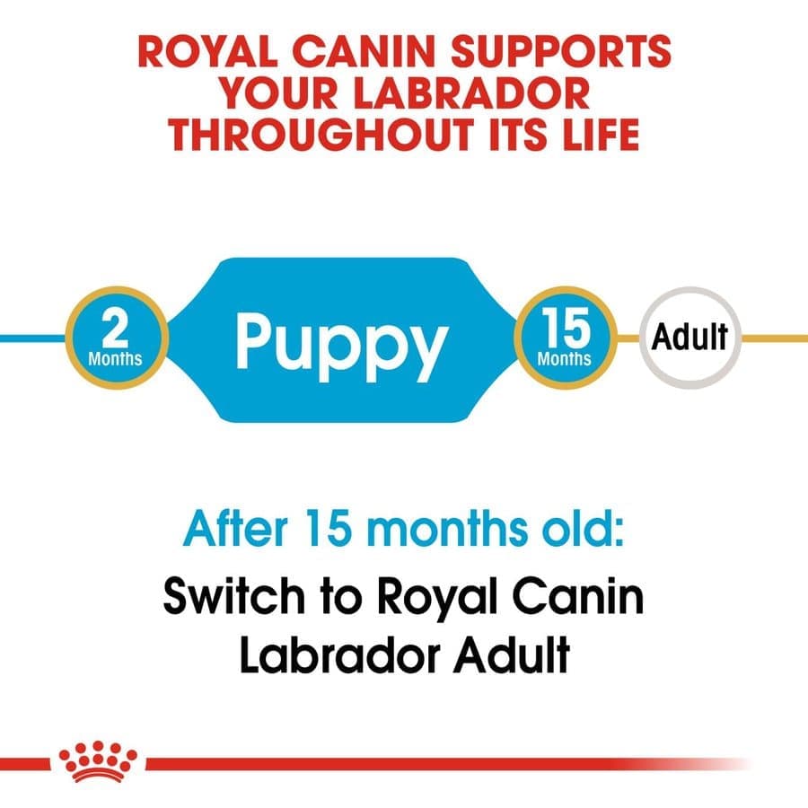 Royal Canin Labrador Retriever Puppy Dog Dry Food image 5