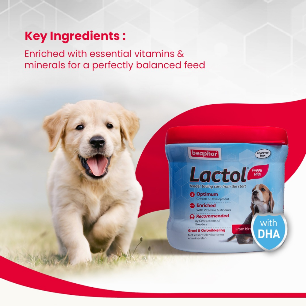 Beaphar Lactol New Born Milk Replacement Powder for Puppies image 2