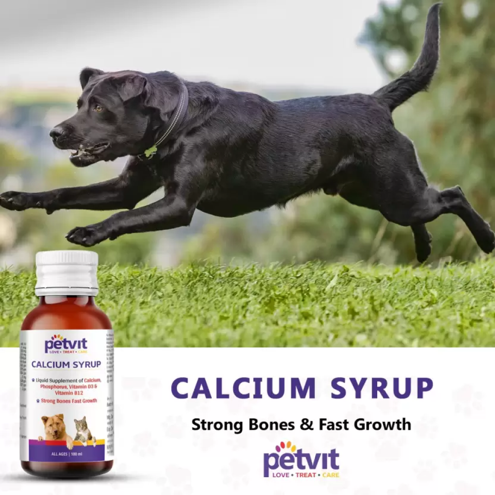 Petvit Calcium Syrup for Dogs image 8
