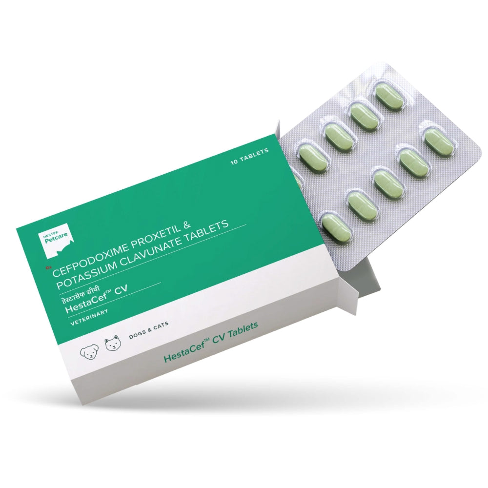Hester Hestacef CV 162.5mg Tablet (Cefpodoxime Proxetil) for Dogs and Cats