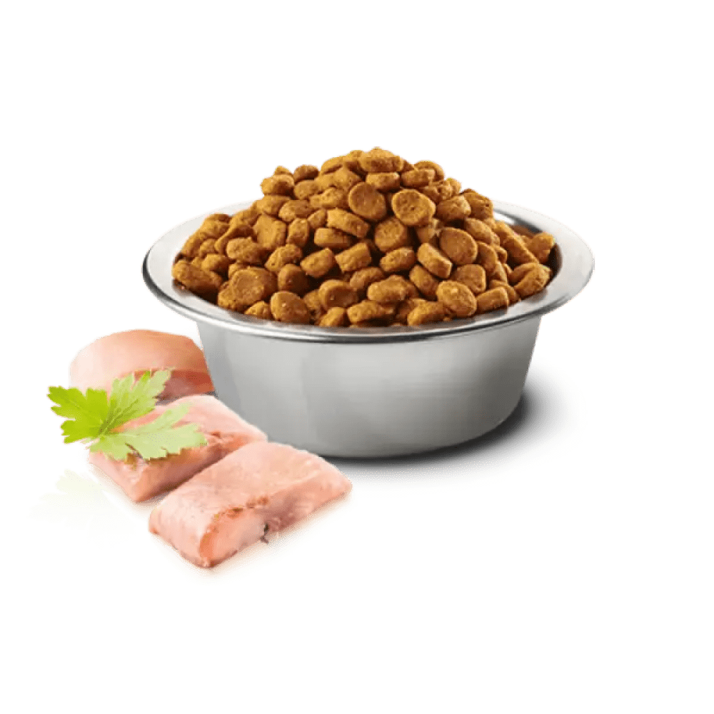 Farmina N&D Ocean Herring & Orange Grain Free Adult Cat Dry Food image 9