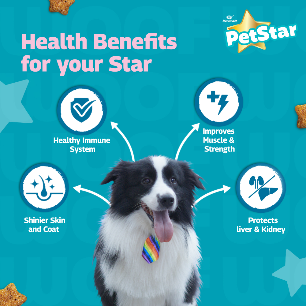 Mankind Petstar Meat and Wheat Adult Dog Dry Food image 5