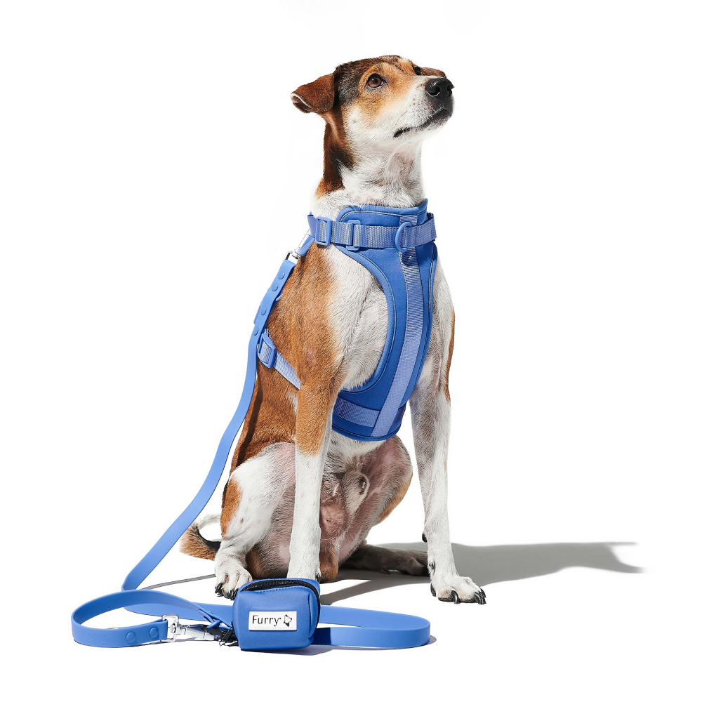 Furry & Co Bold Harness for Dogs (Everest Blue) image 9