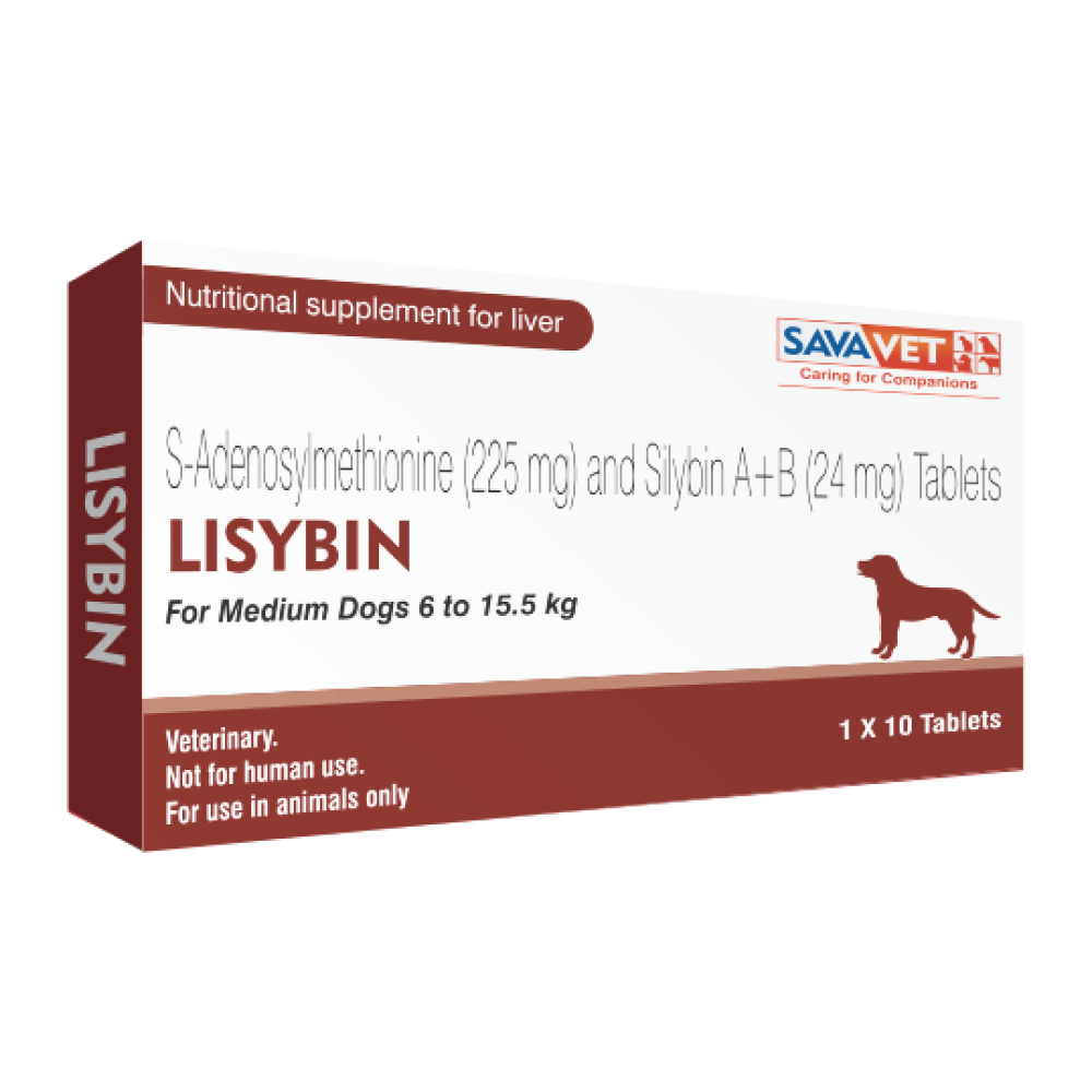 Savavet Lisybin Tablet (pack of 10 tablets) image 2