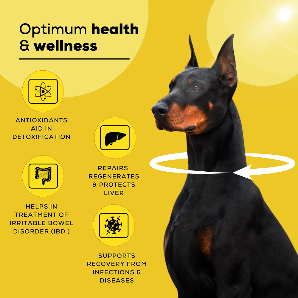 Venttura Livo Plus Liver Supplement Syrup for Dogs image 7